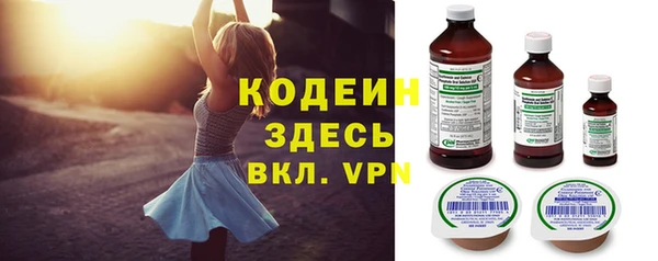 ГАЛЛЮЦИНОГЕННЫЕ ГРИБЫ Арсеньев