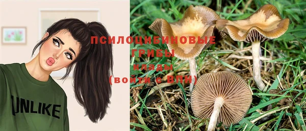 ГАЛЛЮЦИНОГЕННЫЕ ГРИБЫ Арсеньев