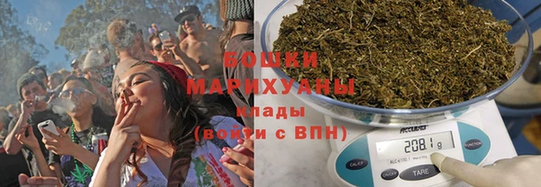 ГАЛЛЮЦИНОГЕННЫЕ ГРИБЫ Арсеньев